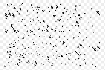 Flying birds png, abstract transparent | Free PNG - rawpixel