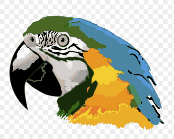 Parrot png sticker, animal illustration | Free PNG - rawpixel