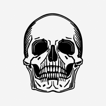Skull hand drawn illustration. Free | Free Photo - rawpixel