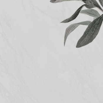 Leaf border background, gray design | Free Photo - rawpixel