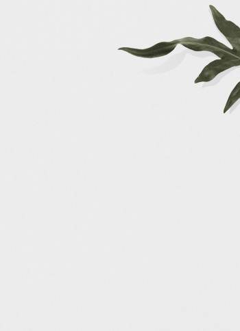 Leaf border background, white design | Free Photo - rawpixel