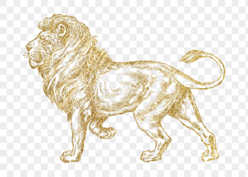 Gold lion png sticker, wildlife | Free PNG Illustration - rawpixel