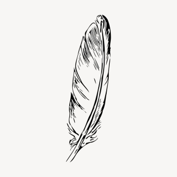 Bird feather drawing, vintage object | Free Vector - rawpixel