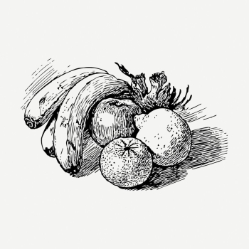 Fruits drawing, still life vintage | Free PSD - rawpixel