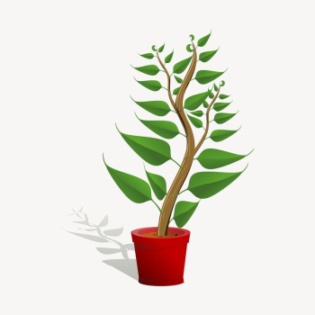 Potted plant clipart, botanical illustration. | Free Photo - rawpixel