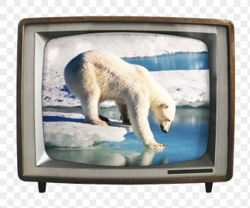 Png polar bear walking on ice | Free PNG - rawpixel