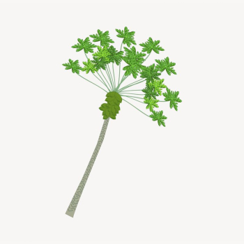 Papaya tree sticker, botanical illustration | Free PSD - rawpixel
