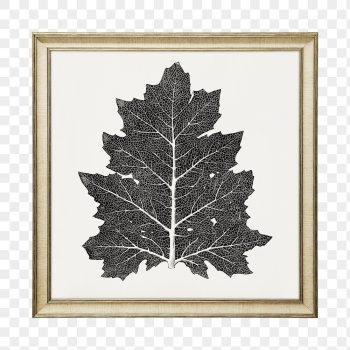 Png oak leaf framed sticker, | Free PNG - rawpixel