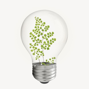 Aesthetic ginkgo leaf bulb, botanical | Free PSD - rawpixel