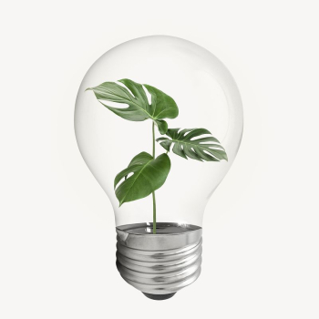 Monstera leaf bulb, creative plant | Free PSD - rawpixel