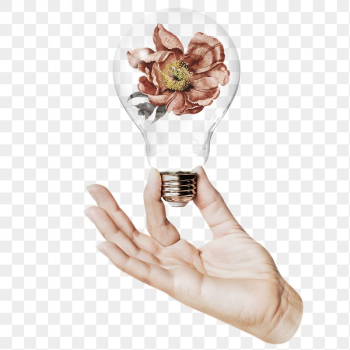 Dry flower png sticker, hand | Free PNG - rawpixel
