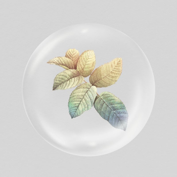 Autumn leaf branch sticker, botanical | Free PSD - rawpixel