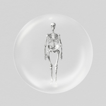 Human skeleton sticker, vintage anatomy | Free PSD - rawpixel