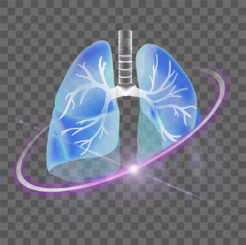 Lungs png, respiratory medical technology | Free PNG - rawpixel
