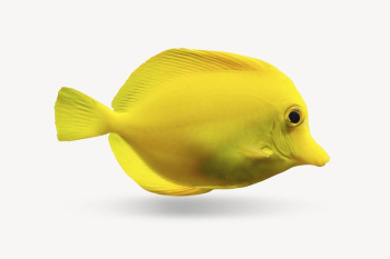 Yellow fish collage element, marine | Free PSD - rawpixel