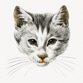 Cat's head collage element, vintage | Free PSD Illustration - rawpixel