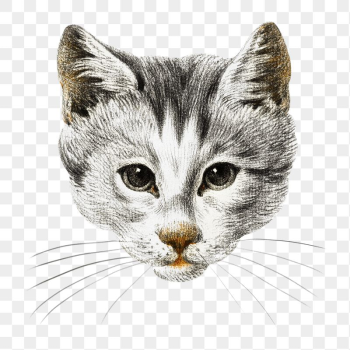Png cat's head sticker, vintage | Free PNG - rawpixel