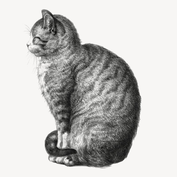Sitting cat collage element, Jean | Free PSD Illustration - rawpixel
