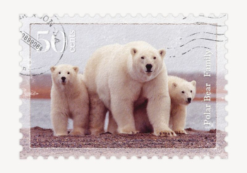 Polar bear postage stamp, animal | Free PSD - rawpixel