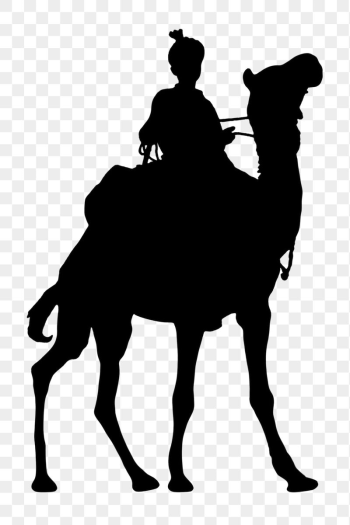 Camel rider png silhouette sticker, | Free PNG - rawpixel