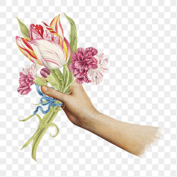 Hand png sticker holding flower | Free PNG - rawpixel