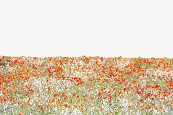 Flower field collage element, beautiful | Free PSD - rawpixel