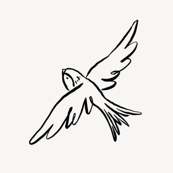 Flying sparrow  line art, | Free Photo - rawpixel