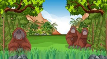 Orangutan in forest or rainforest scene with many trees Free Vector