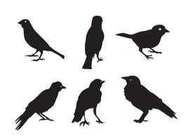Birds Silhouettes Isolated on White Vector Illustration Free Vector