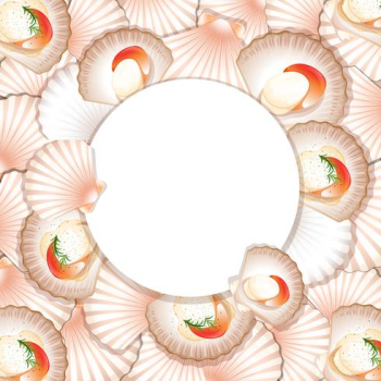 A scallop blank template