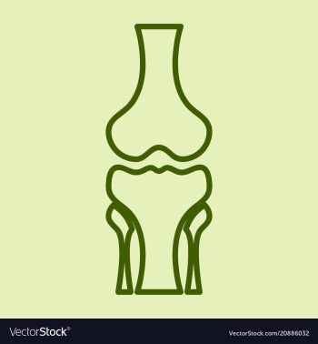 Human knee joint bone icon health medical vector image