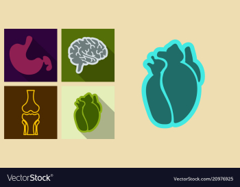 Set of medecine icons in flat style with shadow vector image