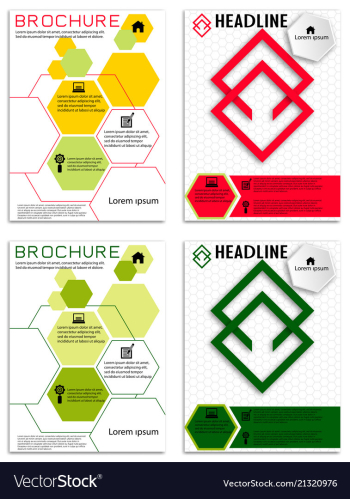 Brochure template flyer design background vector image