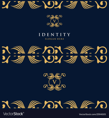 Letter v luxury card logo design vector image