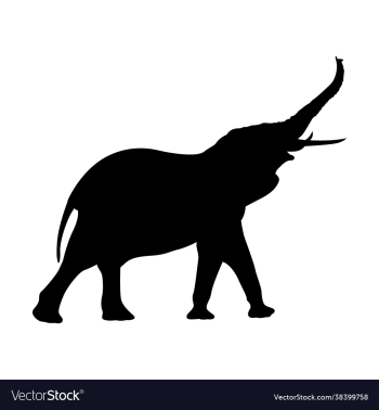 elephant silhouette image