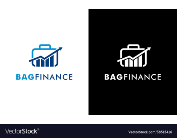 accounting and financial logo concept bag