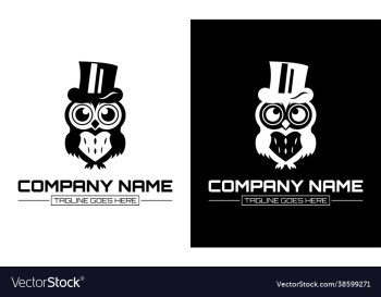 owl logo wearing magician hat creative design