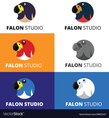 falcon studio camera eye logo design