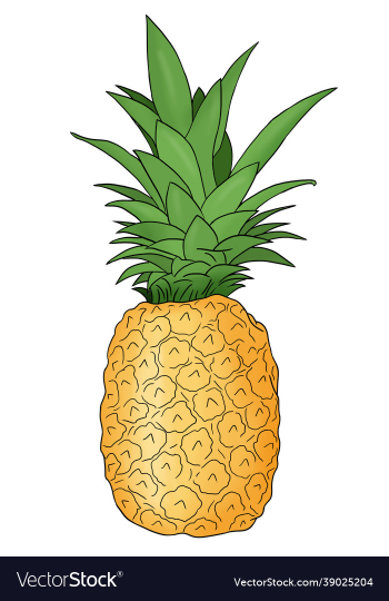 a colored hand drawn pineapple fruit