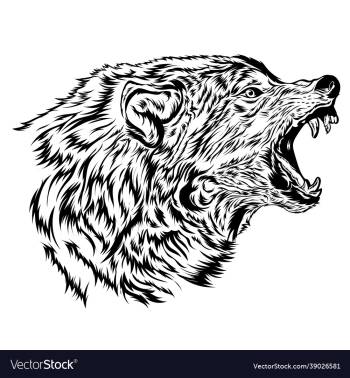 mad wolf logo design in hand drawn style