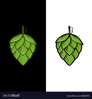 hops plant logo hop green isolated graphic