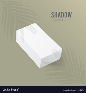 rectangle box mockup perspective with leaf shadow