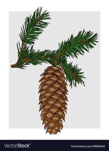 image of a christmas tree cone