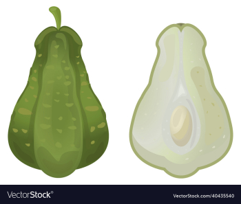 green chayote exotic vegetable