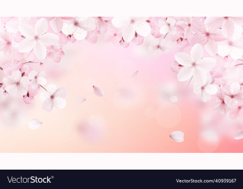 blossoming light pink sakura flowers