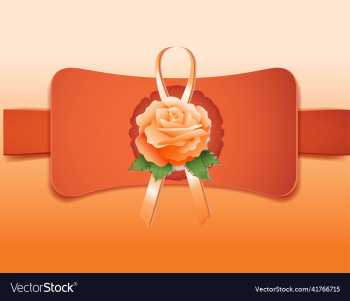 orange rose with frame