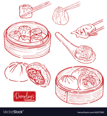 dumplings hand drawn food ske