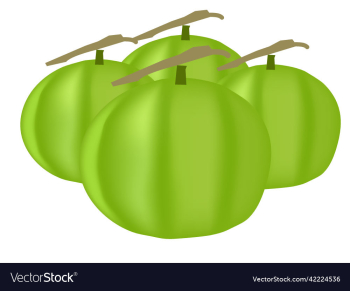 isolated guava one whole green guava fruit