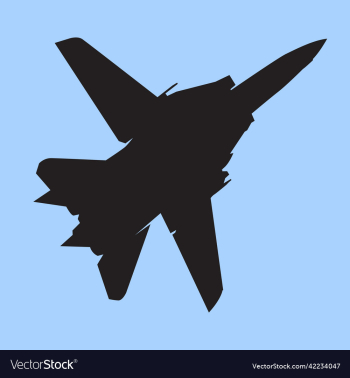 f14 tomcat jetfighter silhouette design