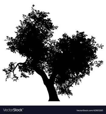 silhouette of tree with leaves